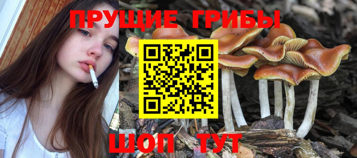 Кокаин Тверь