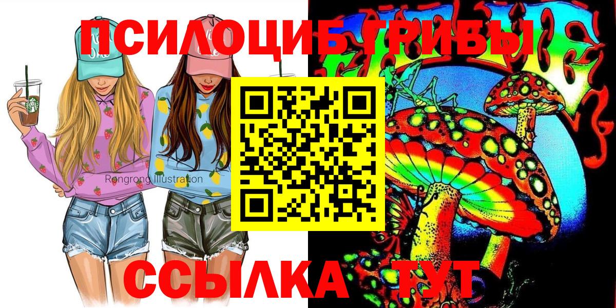Псилоцибиновые грибы GOLDEN TEACHER Тверь